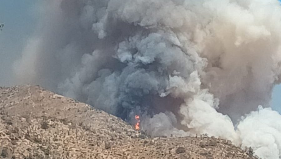 Dos personas fueron detenidas por presunta negligencia que provocó incendio forestal en sector Los Yuyos de Quilpué