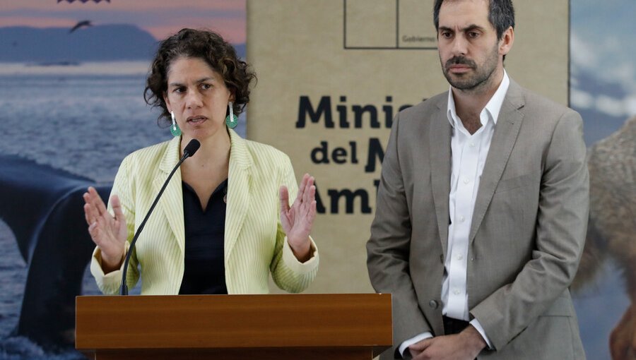 Ministra de Medio Ambiente asegura que “no tenía claro” previo a reunión el rol como lobbista de Pablo Zalaquett