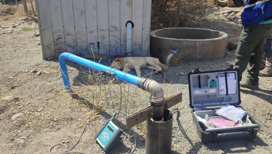 Dirección General de Aguas cursa multa por extracción de agua no autorizada en Petorca