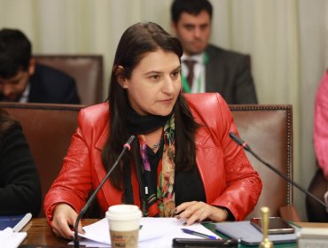Diputada Sofía Cid renuncia a Renovación Nacional: Buscaría cupo senatorial por la región de Atacama