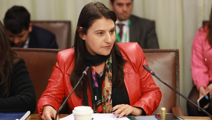 Diputada Sofía Cid renuncia a Renovación Nacional: Buscaría cupo senatorial por la región de Atacama