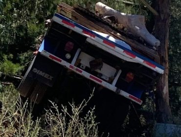 Una persona perdió la vida tras choque de un camión contra un árbol camino a Laguna Verde en Valparaíso