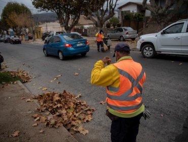 Pese a aprobar adjudicación del servicio de áreas verdes en Quilpué, alcaldesa Melipillán anuncia que llevará a Contraloría a concejales