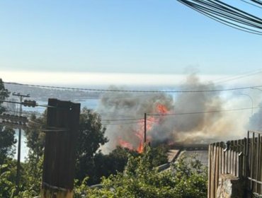 Bomberos y personal de Conaf combaten incendio forestal en sector de Agua Santa en Viña del Mar