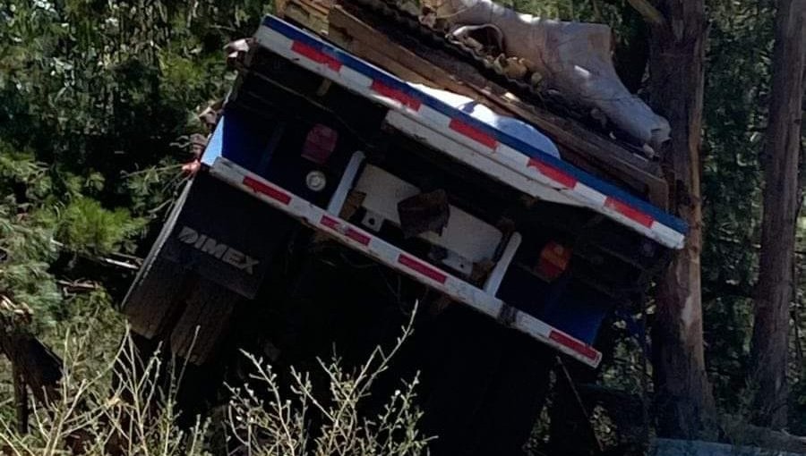 Una persona perdió la vida tras choque de un camión contra un árbol camino a Laguna Verde en Valparaíso