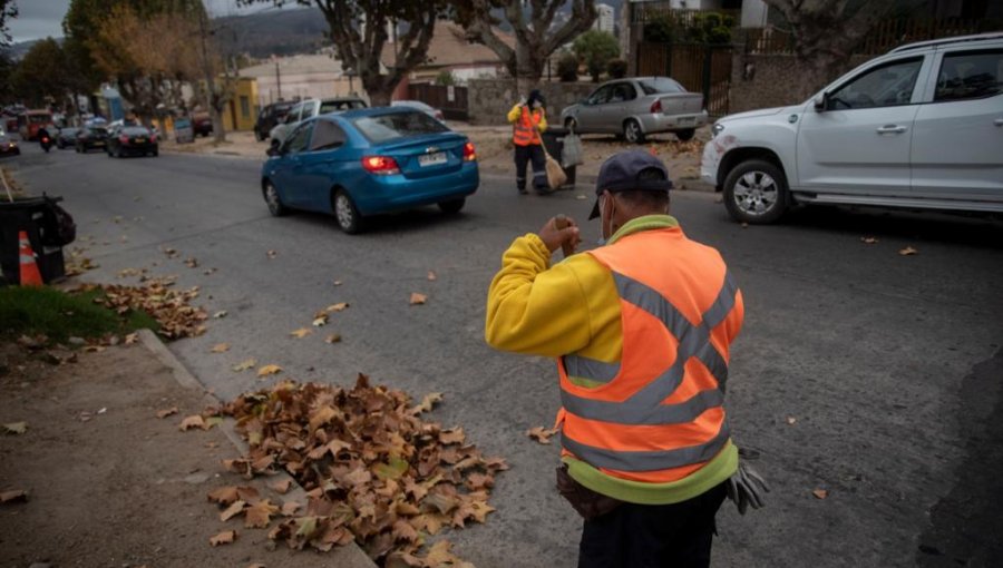 Pese a aprobar adjudicación del servicio de áreas verdes en Quilpué, alcaldesa Melipillán anuncia que llevará a Contraloría a concejales