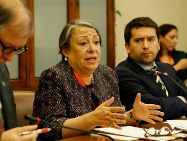 Directora del Instituto Nacional de Derechos Humanos aclara rol en pensiones de gracia: "Es una decisión del Poder Ejecutivo"