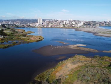 Semana de los Humedales de Concón: Conoce las actividades medioambientales que se desarrollarán durante más de cinco días