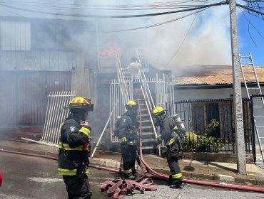 Cuatro viviendas resultaron afectadas por incendio en el cerro San Roque de Valparaíso: al menos 10 personas damnificadas