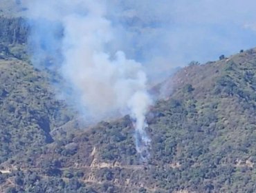 Bomberos y personal de Conaf combaten incendio forestal en sector de Laguna Verde en Valparaíso