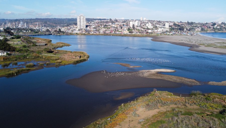 Semana de los Humedales de Concón: Conoce las actividades medioambientales que se desarrollarán durante más de cinco días