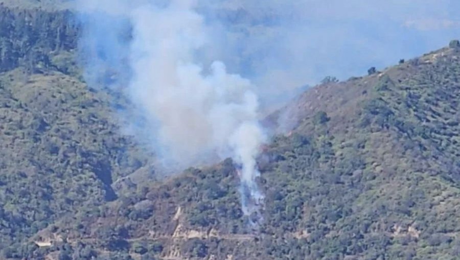 Bomberos y personal de Conaf combaten incendio forestal en sector de Laguna Verde en Valparaíso