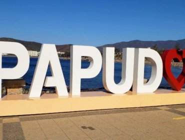 Permisos de circulación de Papudo en la mira de Fiscalía: Municipio de la RN Claudia Adasme no registró pagos por $52 millones