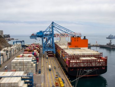 Terminal Pacífico Sur Valparaíso anota nuevo récord con embarque de contenedores refrigerados