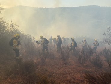 Conaf llama a reforzar medidas para prevenir incendios en la región de Valparaíso ante altas temperaturas
