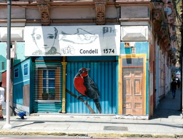 «Valparaíso Arte Urbano»: Inauguran colorida galería con más de 90 murales en calle Condell