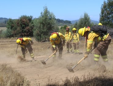 Capacitan a guardaparques en primera respuesta ante incendios en áreas silvestres protegidas de la región de Valparaíso