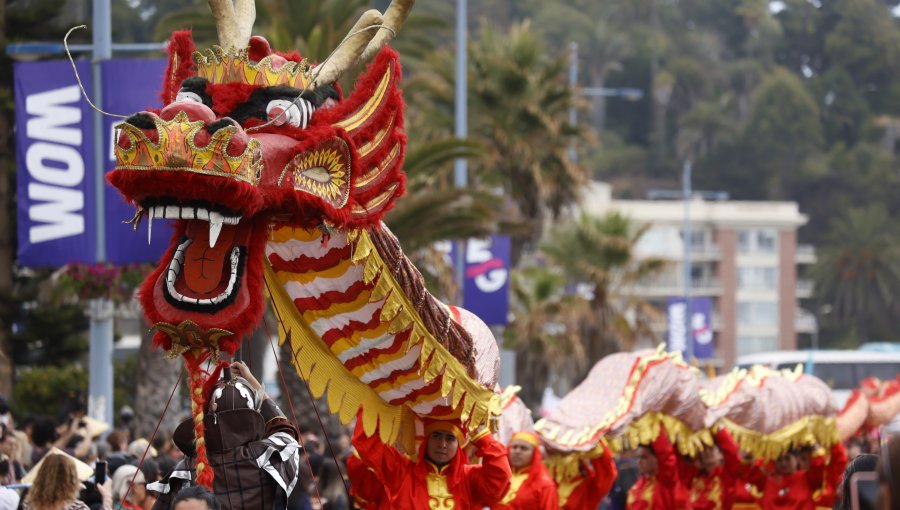 Carnaval Cultural recorrió las calles de Viña del Mar en el marco de la celebración del Año Nuevo Chino