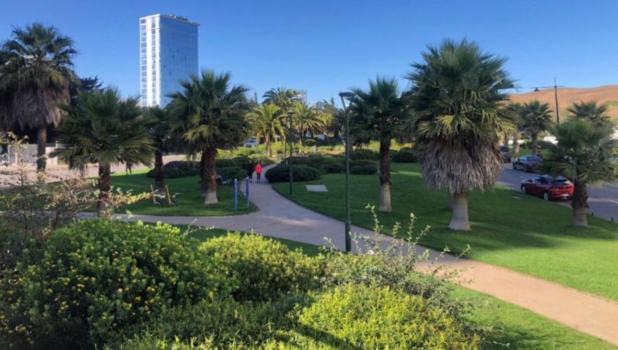 Adulto mayor sufre violento asalto mientras paseaba a su mascota por Costa de Montemar en Concón