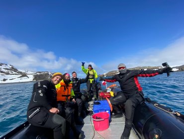 Pionero estudio evalúa el impacto de las aguas residuales vertidas por asentamientos humanos en la Antártica