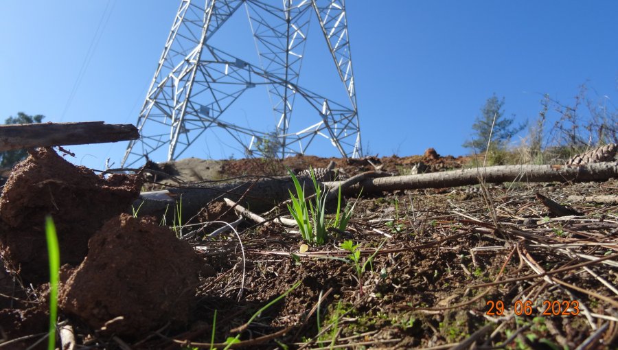 Ordenan detener construcción de 10 torres de transmisión eléctrica de proyecto que atraviesa desde Melipilla hasta Viña del Mar