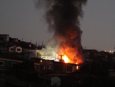 Bomberos combaten voraz incendio a la altura del Auditorio Osmán Pérez Freire en el cerro Mariposas de Valparaíso