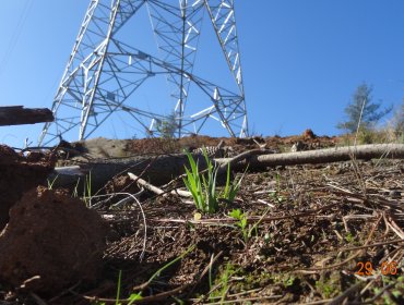 Ordenan detener construcción de 10 torres de transmisión eléctrica de proyecto que atraviesa desde Melipilla hasta Viña del Mar