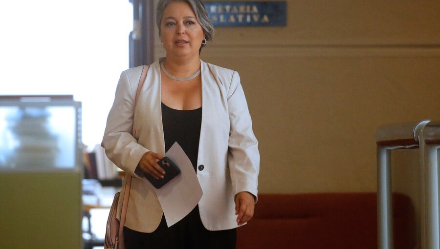 Ministra del Trabajo y Previsión Social por votación a la reforma de pensiones: “Me resulta incomprensible la posición de la UDI y RN”