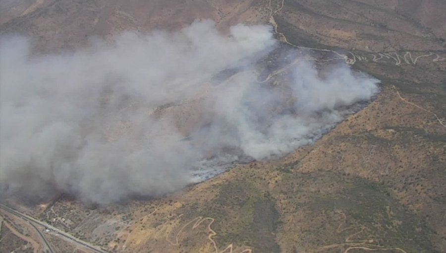 Declaran Alerta Amarilla para la comuna de Curacaví por incendio forestal de "comportamiento extremo"