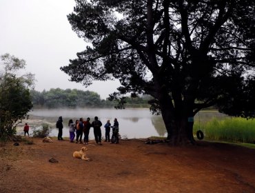 “Laguna El Criquet” es reconocida como el primer Humedal Urbano de Valparaíso