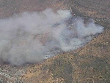 Declaran Alerta Amarilla para la comuna de Curacaví por incendio forestal de "comportamiento extremo"