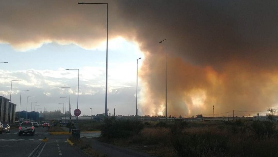 Declaran Alerta Roja para Puerto Montt por incendio forestal: Se solicitó evacuar sectores habitados