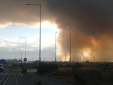 Declaran Alerta Roja para Puerto Montt por incendio forestal: Se solicitó evacuar sectores habitados