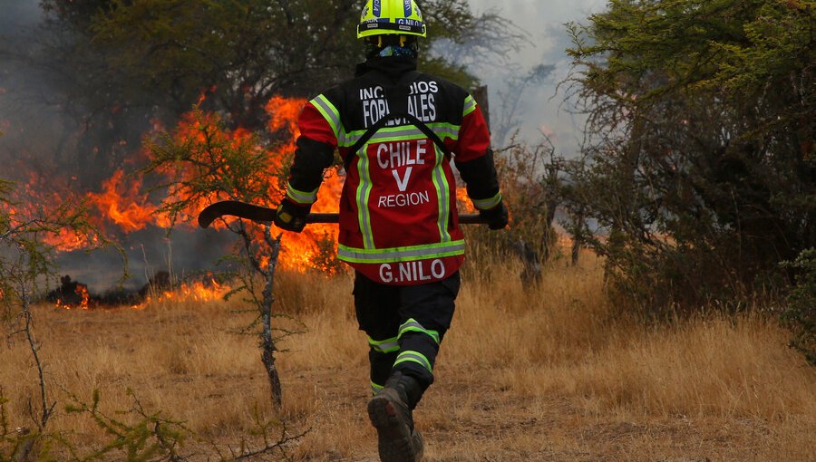 Declaran alerta roja por incendios forestales en Lonquimay