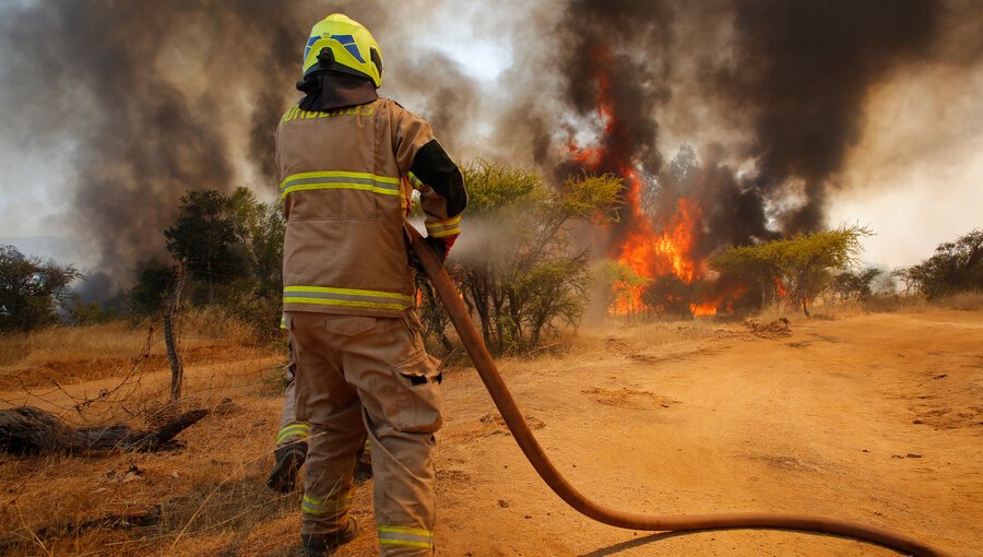 Por incendio forestal, ordenan evacuar sector Cementerios de Puerto Montt