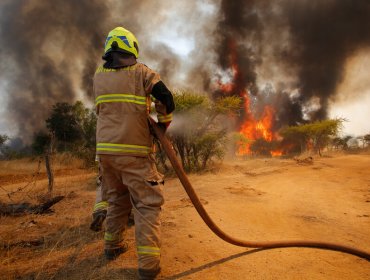 Por incendio forestal, ordenan evacuar sector Cementerios de Puerto Montt