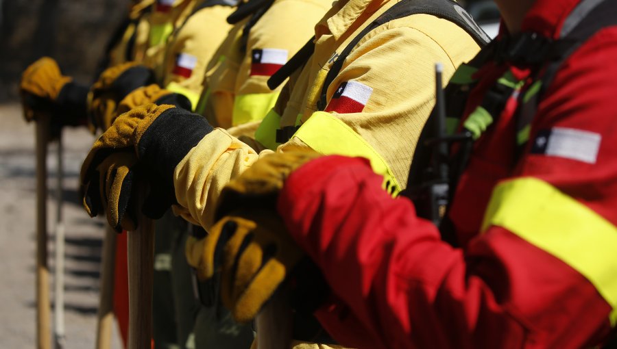 Golpean para robar una motosierra a grupo de brigadistas que se dirigían a incendio forestal en Curanilahue