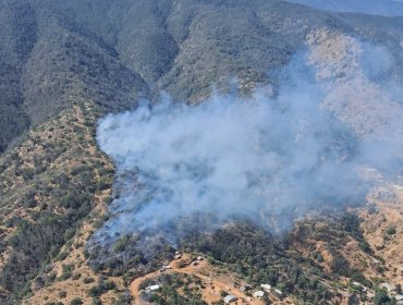 Declaran Alerta Roja para Limache por incendio forestal en sector Los Maitenes que amenaza a viviendas