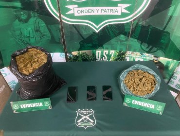 Cuatro sujetos terminan detenidos al intentar transportar 6 kilos de marihuana en la ruta 5 Norte