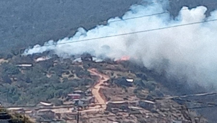 Bomberos y personal de Conaf combaten incendio forestal en la Avenida Eastman de Limache