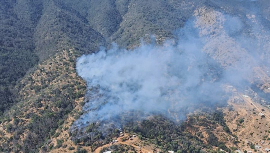 Declaran Alerta Roja para Limache por incendio forestal en sector Los Maitenes que amenaza a viviendas