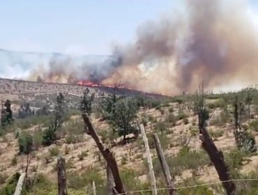 Cocina a leña habría provocado incendio forestal en Limache: Detenido se entregó voluntariamente a Carabineros