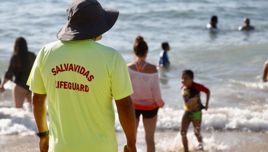 Presentan proyecto de ley que regula el trabajo de salvavidas en playas, ríos, lagos y piscinas de Chile