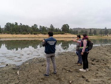 Seremi de Salud cursa sumario sanitario por muerte de peces en Tranque Recreo