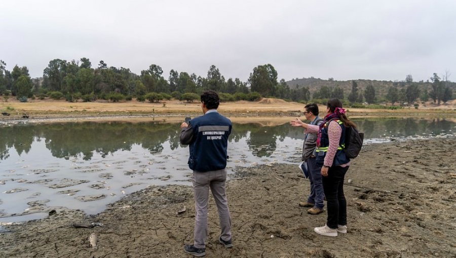 Seremi de Salud cursa sumario sanitario por muerte de peces en Tranque Recreo