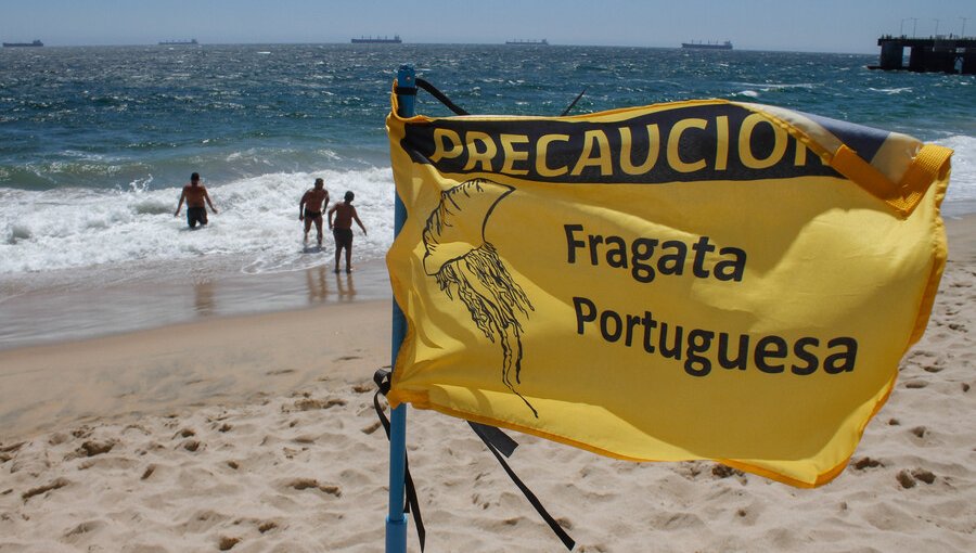 Fragata portuguesa obliga a decretar el cierre de playa en Tongoy