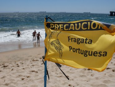 Fragata portuguesa obliga a decretar el cierre de playa en Tongoy