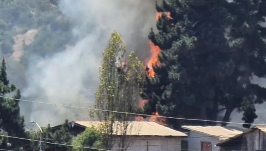 Incendio estructural afecta a dos viviendas en Reñaca Alto en Viña del Mar