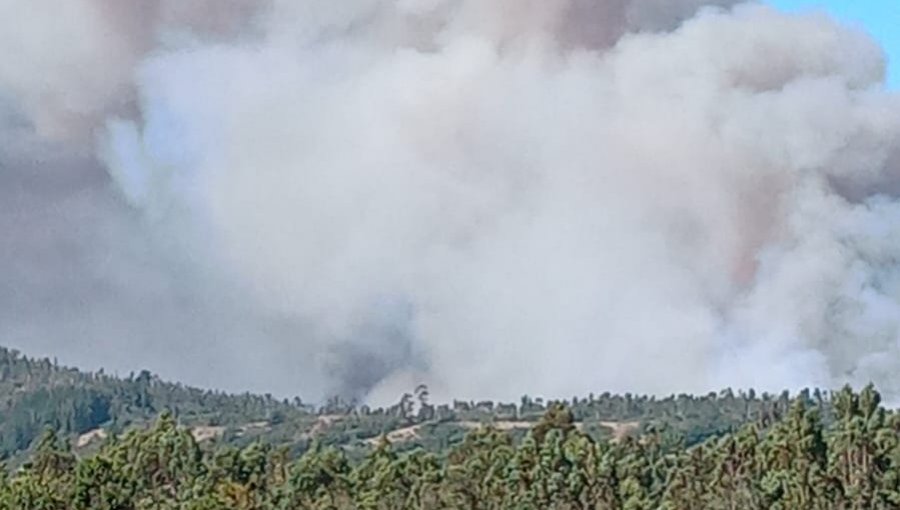 Declaran Alerta Roja para Navidad por incendio forestal cercano a sectores poblados: solicitan evacuar sectores de la comuna