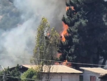 Incendio estructural afecta a dos viviendas en Reñaca Alto en Viña del Mar